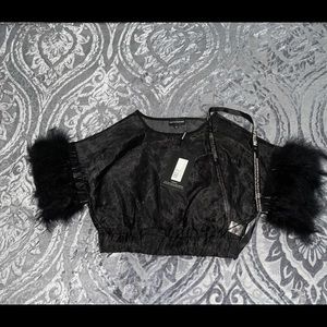 Black Feather Sleeve Sheer Organza Top